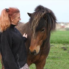 Islænder Flakkari lunakilde