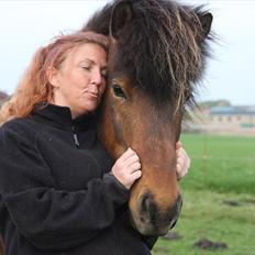 Islænder Flakkari lunakilde