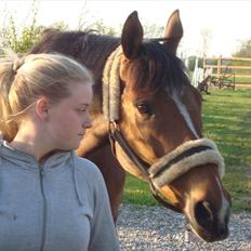 Fuldblod (XX) Tombola