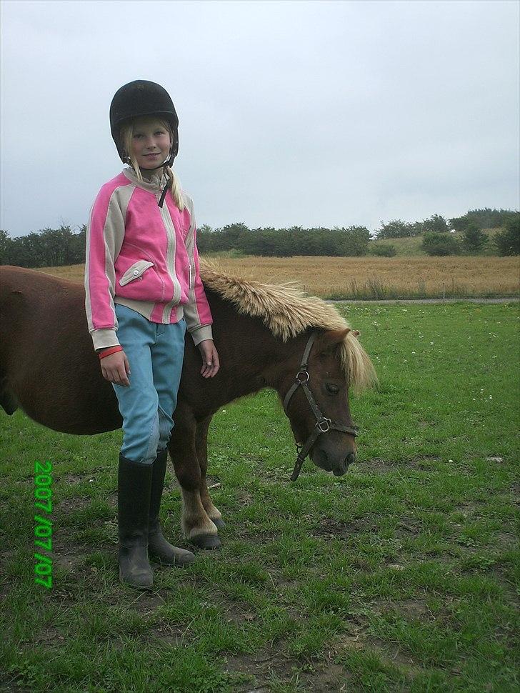 Shetlænder Thor Clausen - Min søster og Thor, der leger modeller 7/7/07 :D billede 12