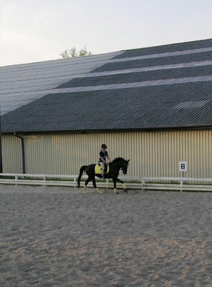 DSP FACINATION <3 billede 20