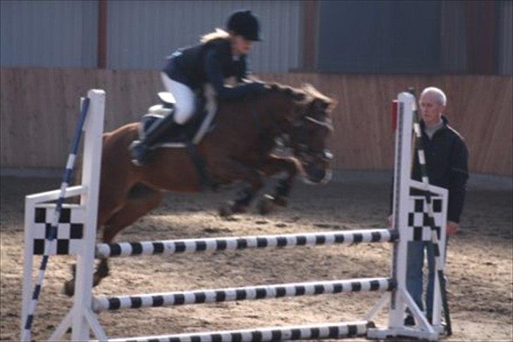 Hollandsk Sportspony Van Gogh - stævne i gjern, med louise:-) ;-)<3 billede 17