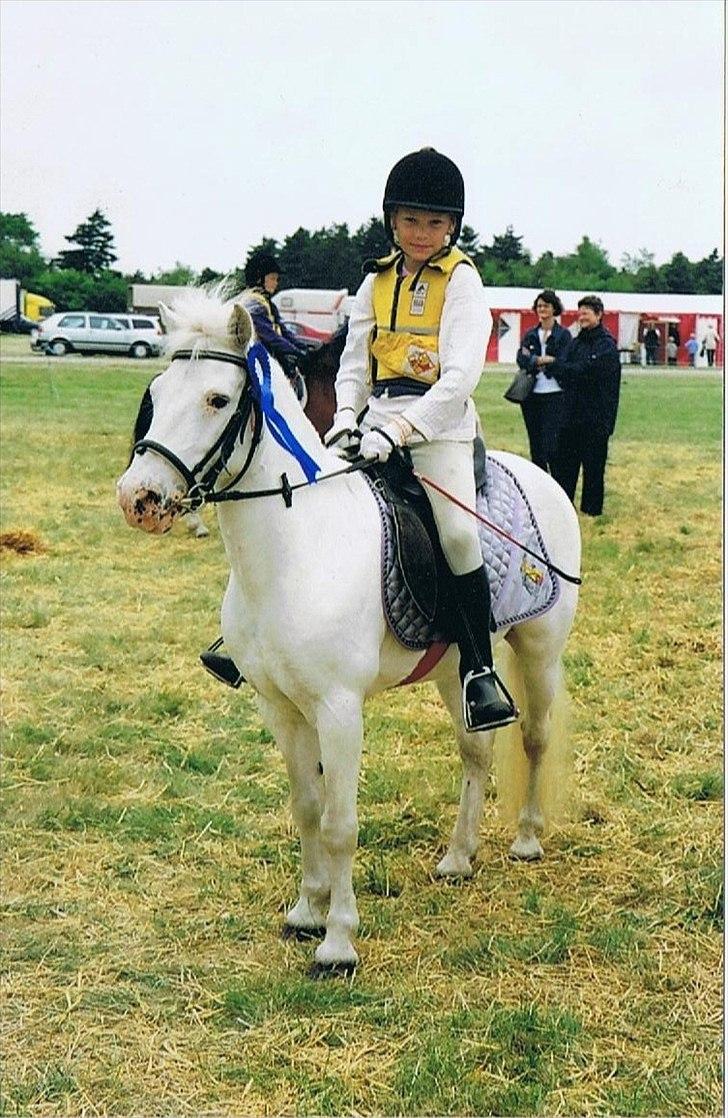 Anden særlig race Silver billede 11