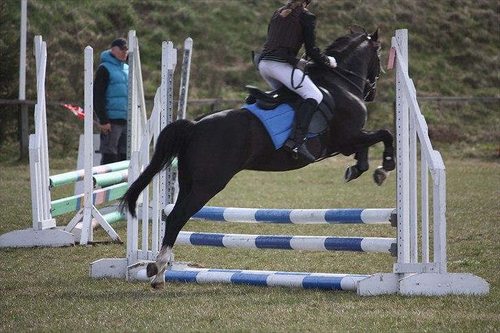 Anden særlig race Sjonnie Skywalker <3! R.I.P Min skat<3! - Foto:maria boye billede 10