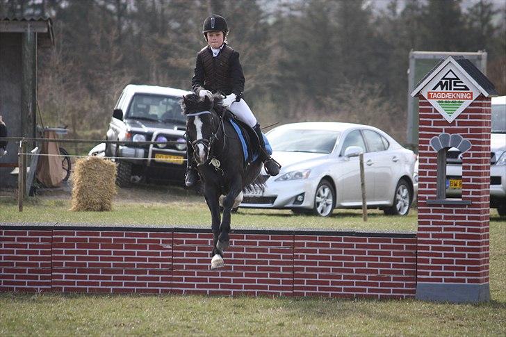 Anden særlig race Sjonnie Skywalker <3! R.I.P Min skat<3! - Foto:maria boye billede 9