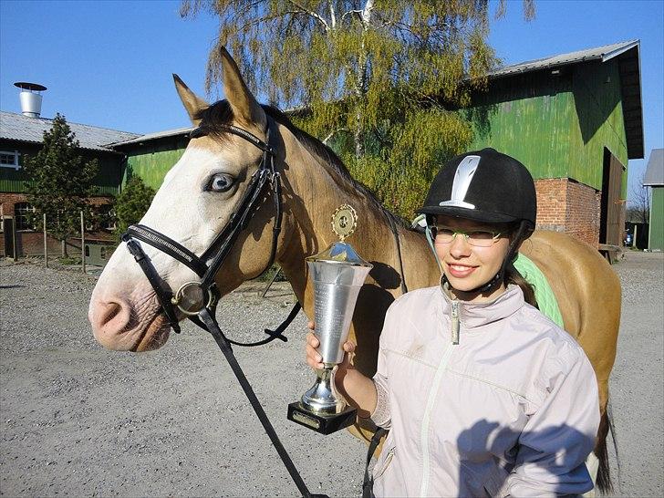 DSP Gloria  B-Pony - har vundet ranglisten på LSP i dressur pony billede 12