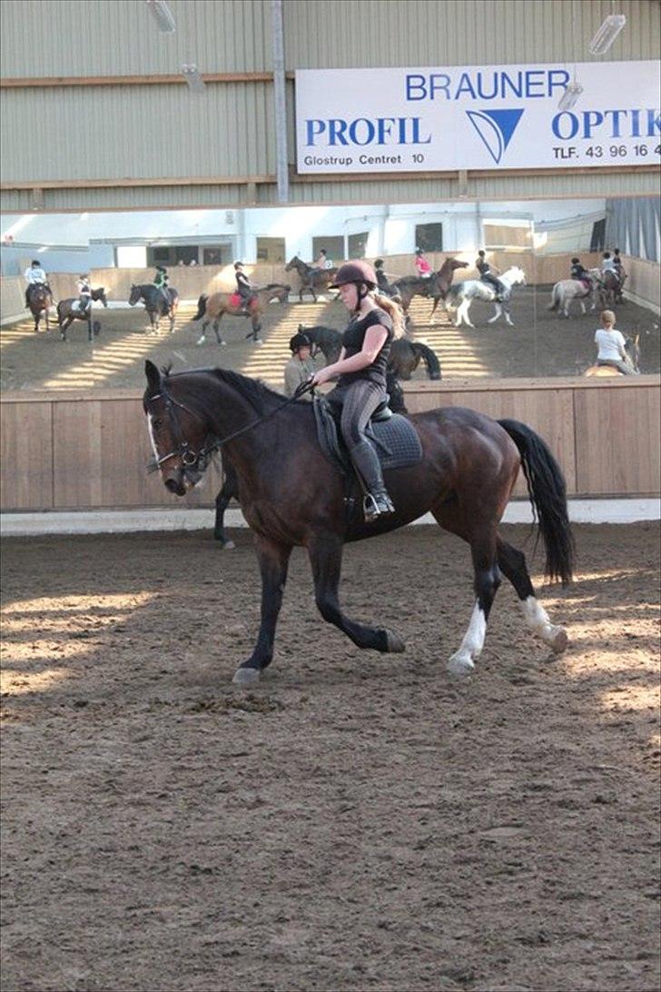 Oldenborg Skovlundegårds Shakira - Vi er langt fra perfekte, men vi forsøger alt hvad vi kan <3 (Fotograf: Bettina Westh) billede 6
