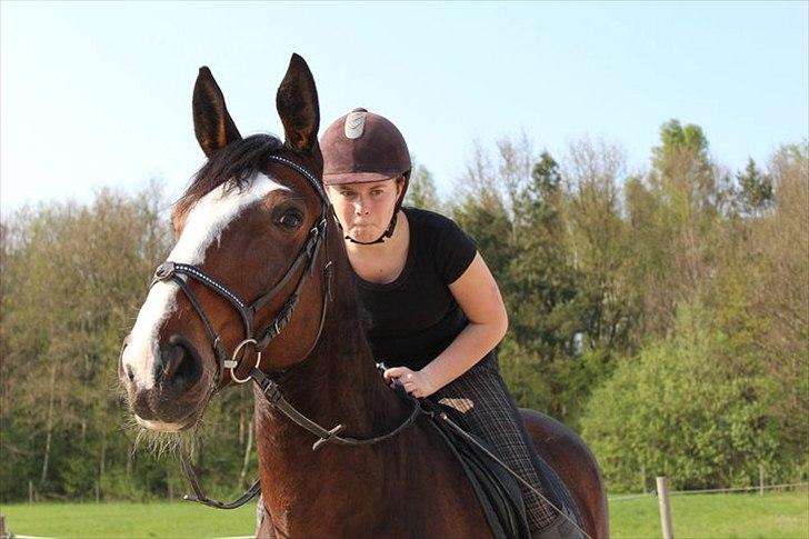 Oldenborg Skovlundegårds Shakira - Der skal også være tid til sjov! <3 (Fotograf: Bettina Westh) billede 10
