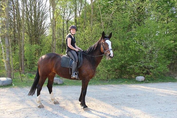 Oldenborg Skovlundegårds Shakira - Os for altid mussi <3 (Fotograf: Bettina Westh) billede 11