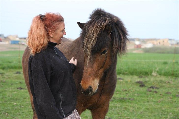 Islænder Flakkari lunakilde billede 2