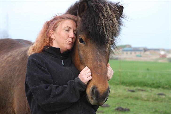 Islænder Flakkari lunakilde billede 3