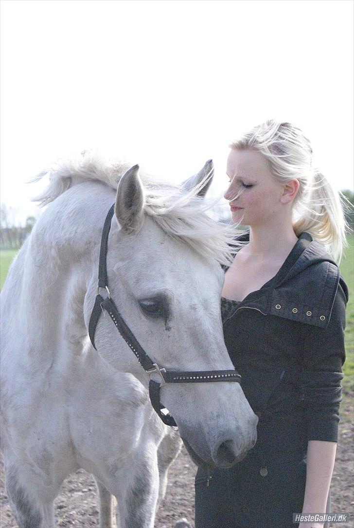 Holstener Calina billede 19