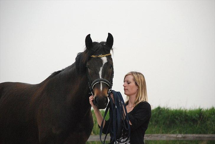 Anden særlig race Shanghai billede 17