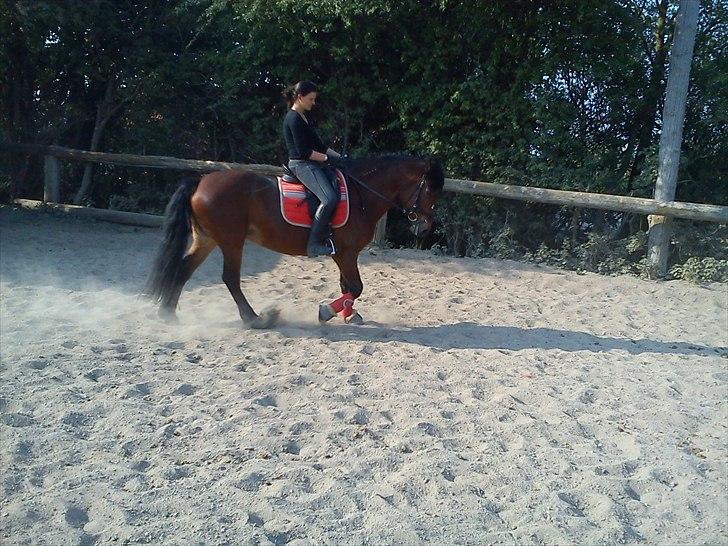 Anden særlig race lotte - barrtôssen - jeg gør hvad jeg har lyst til.. -eller jeg prøver ihvertfald.  billede 10