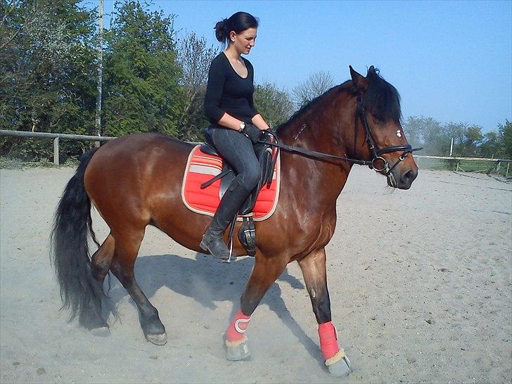 Anden særlig race lotte - barrtôssen - jeg vil gerne bare slappe af nu...  billede 12