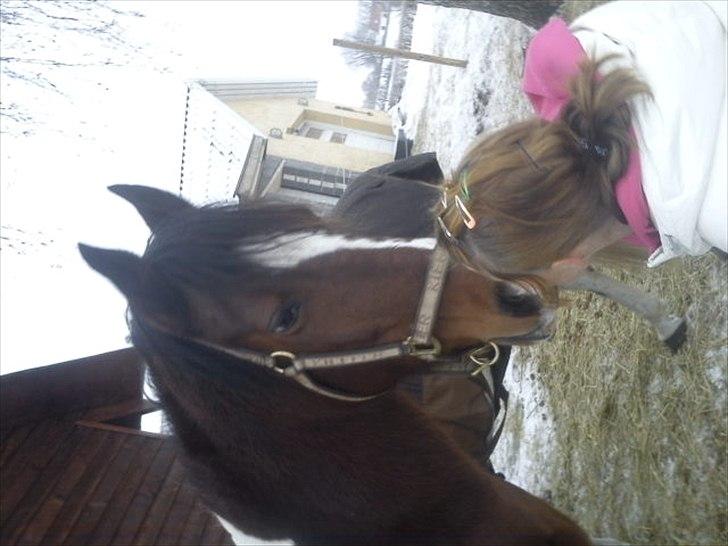 Pinto Mirage Bariolé billede 4