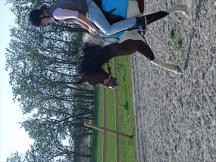 Pinto Mirage Bariolé billede 10