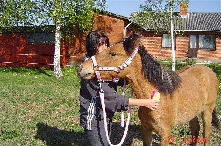 Anden særlig race Unica star - Unica 10 måneder gammel. billede 30