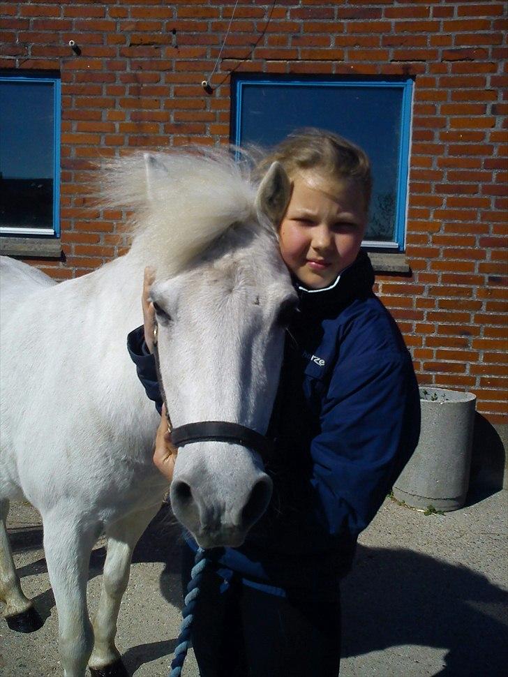 Anden særlig race Sissi <3 Solgt Altid elsket og savnet <3 - sissi du betyder virkelig alt<3 min skat os to for evigt og altid<3 og til evigtid<3 
Foto: julie billede 7