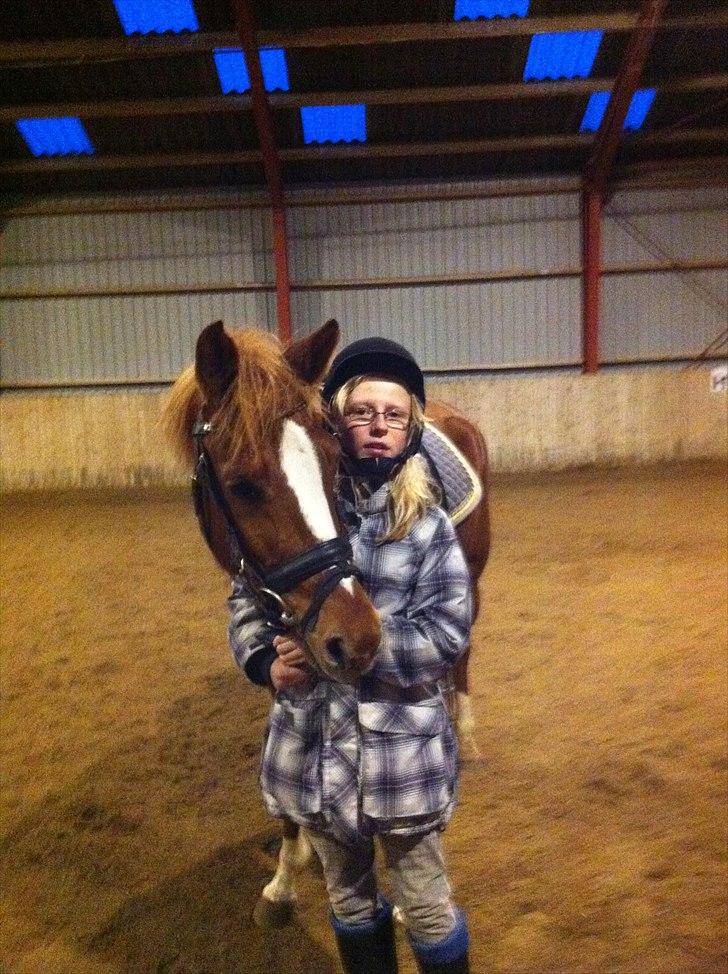 Anden særlig race Emma/ lotus *SOLGT* - mig og dejlige emma. billede 1