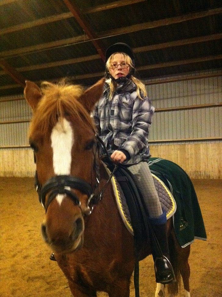 Anden særlig race Emma/ lotus *SOLGT* - mig og emmagøjen. billede 4