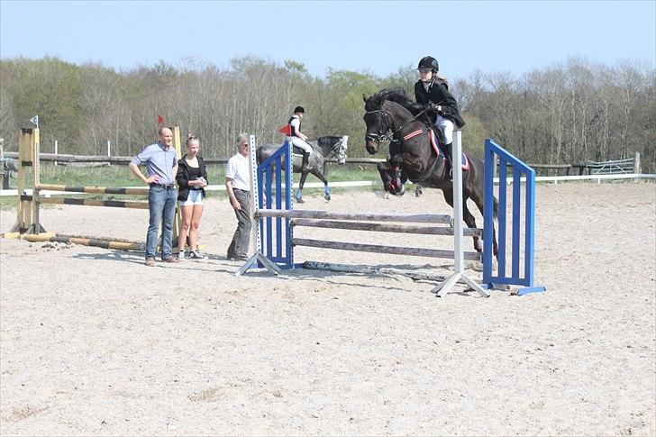 Tysk Sportspony Melody 52 - Opvarmning:i billede 2