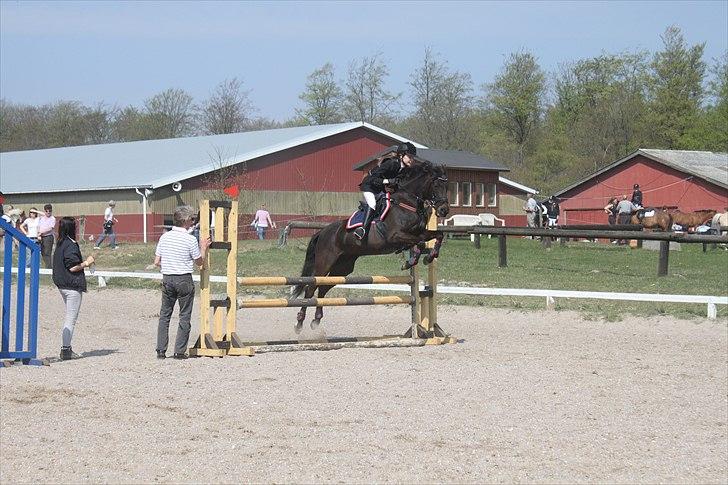 Tysk Sportspony Melody 52 - opvarmning 21/04-2011.    -Guuuud hvor jeg dog elsker den pony!<3 billede 3