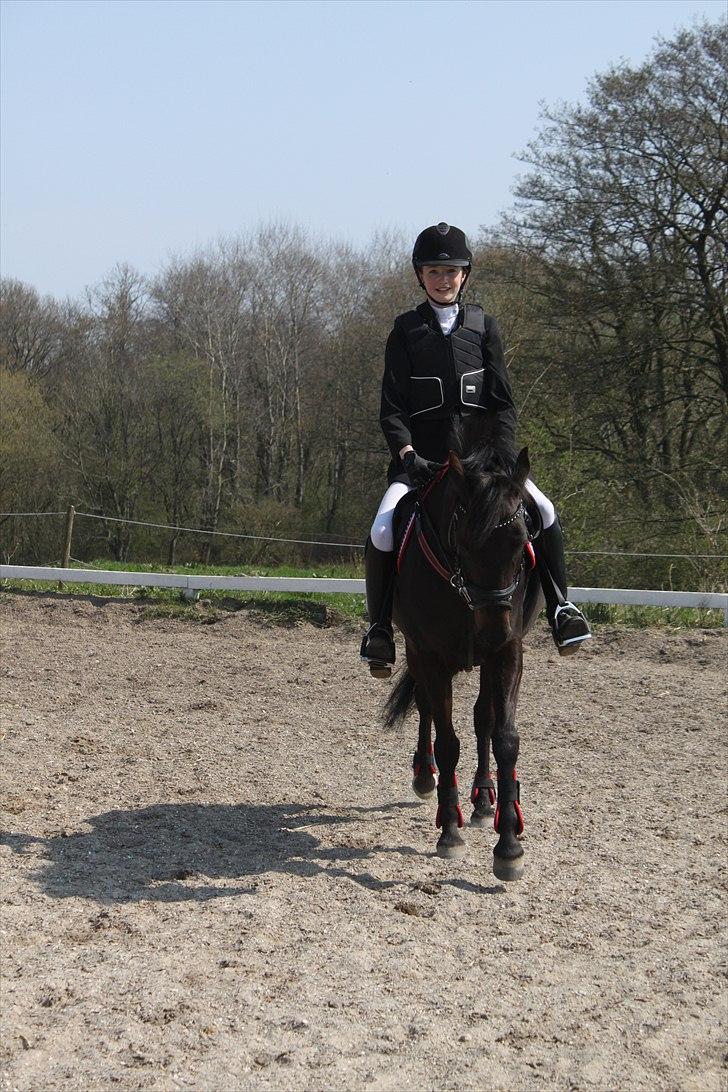 Tysk Sportspony Melody 52 - opvarmning 21/04-2011(-: billede 4