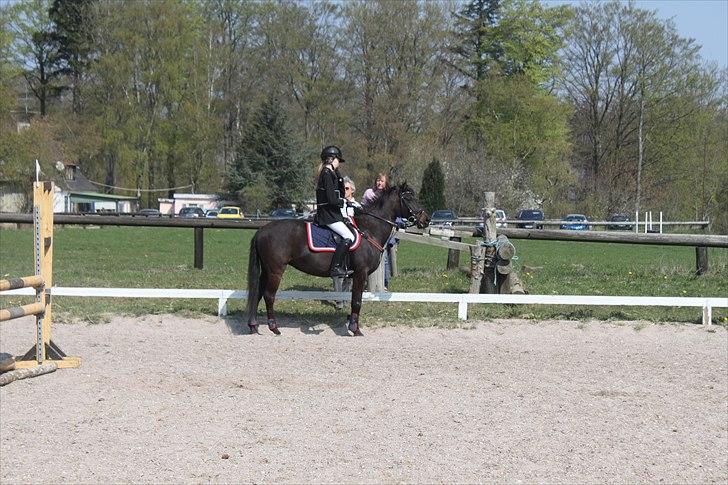 Tysk Sportspony Melody 52 - Er i godt klar over hvor varmt det er at ride i 22 grader´s varme med sort jakke og springvest! Og det gør det sku ikke bedere når de er 1½ time forsinket!!!!:o billede 5