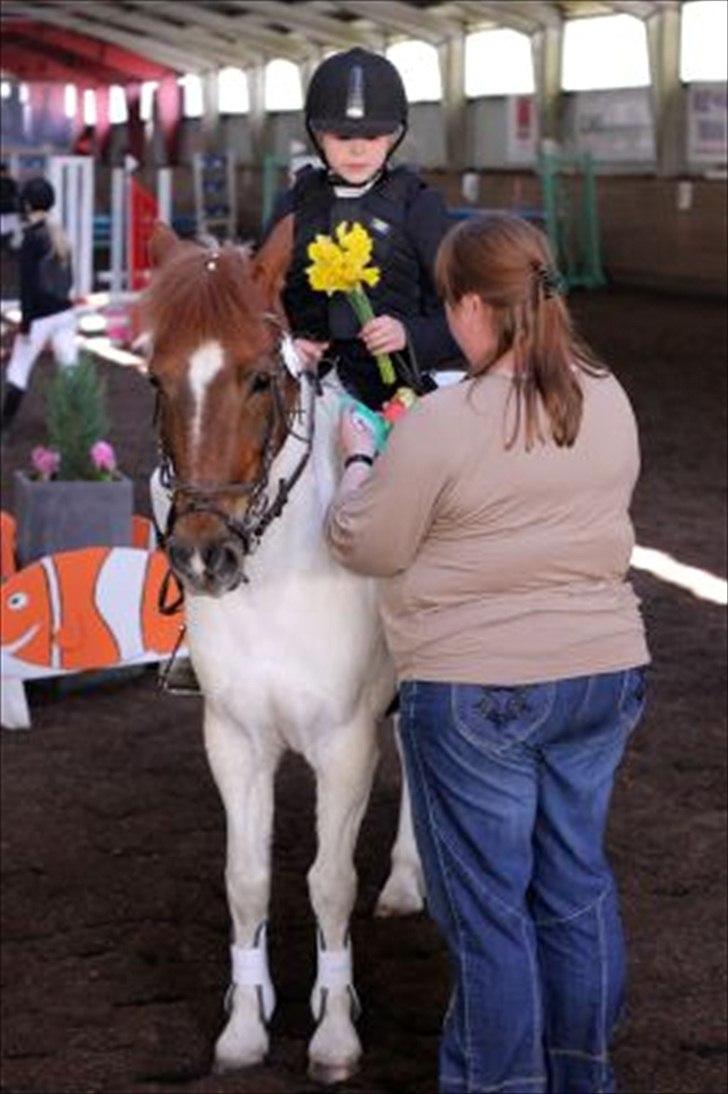 Anden særlig race Zindy - Kaja og Zindy til præmieoverrækkelse billede 14