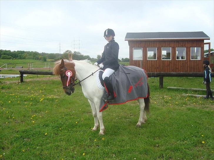Anden særlig race Zindy - Klubmesterskab i pony-spring på SRÅ 2010 Sara og Zindy billede 16