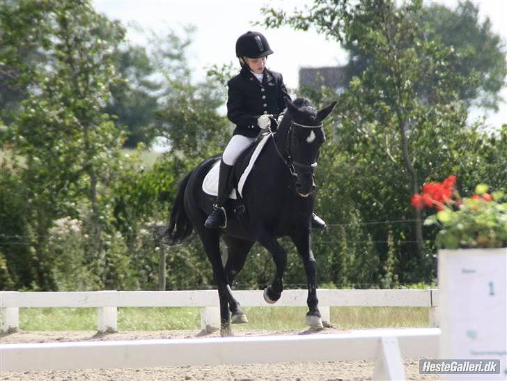 Anden særlig race Magic Manipu <3 - DM 2009 Sølv kat. 3 billede 12