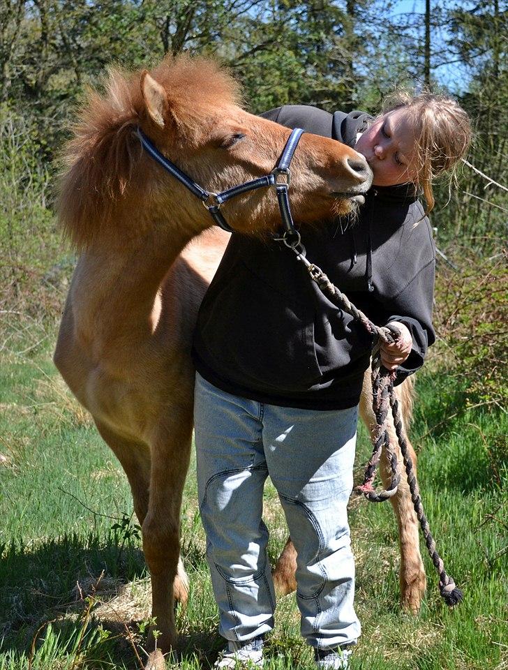 Anden særlig race Baby aka. Tino Von Rebel - 30. april, 2011 - Tino & jeg på gåtur i skoven, hvor vi gør holdt, for at nyde hinandens selskab. (´: Pludselig ligger han hovedet ind til mig, og giver ham en krammer, og så mener han jeg skal have et kys. <3 billede 28