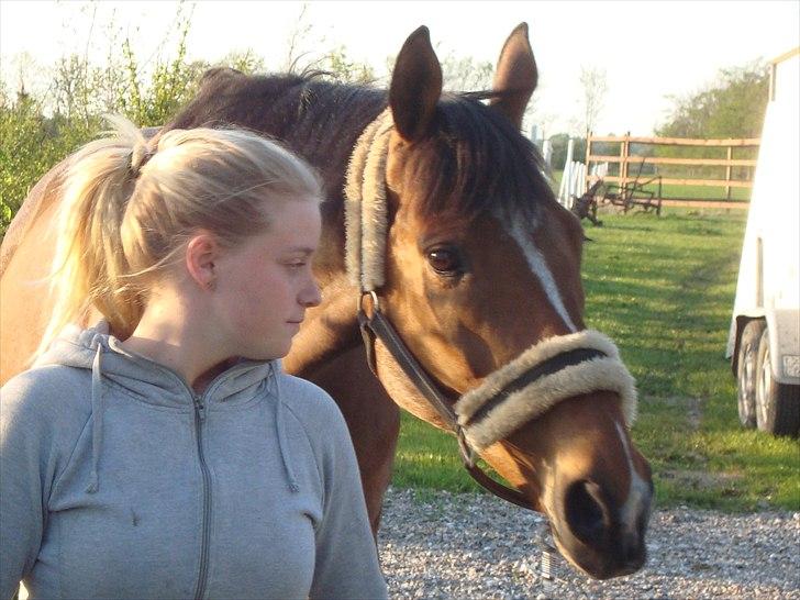 Fuldblod (XX) Tombola - Kig på hesten, basse har et skønt udtryk her! :D billede 3