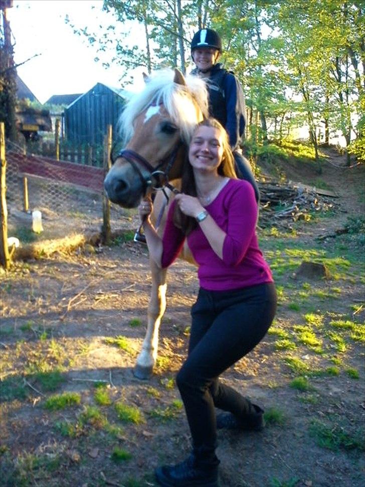 Haflinger Veronica-leveret tilbage - NYT - verdens dejligste hest med verdens dejligste person! <3 Den dag havde Veronica rytter på for første gang i cirka 3 år. Stolt? ja! :)  billede 15