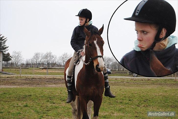 Pinto Vandlinggårds Heartbreaker - Tak fordi i så med :) -Billede taget af Anne-Sofie Nielsen. billede 19