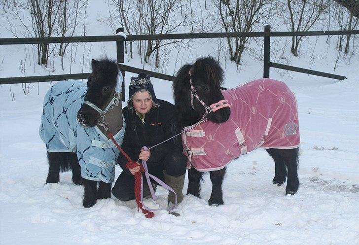 Shetlænder SACHA (SOLGT) - Prins, jeg og smukke Sacha ;-)  billede 7