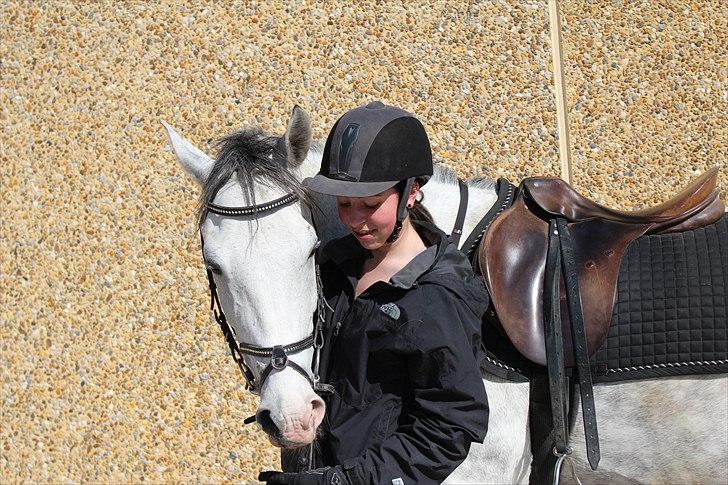 Hollandsk Sportspony Moonlight - Mig og Moonlight :o) Foto: Amalie billede 15