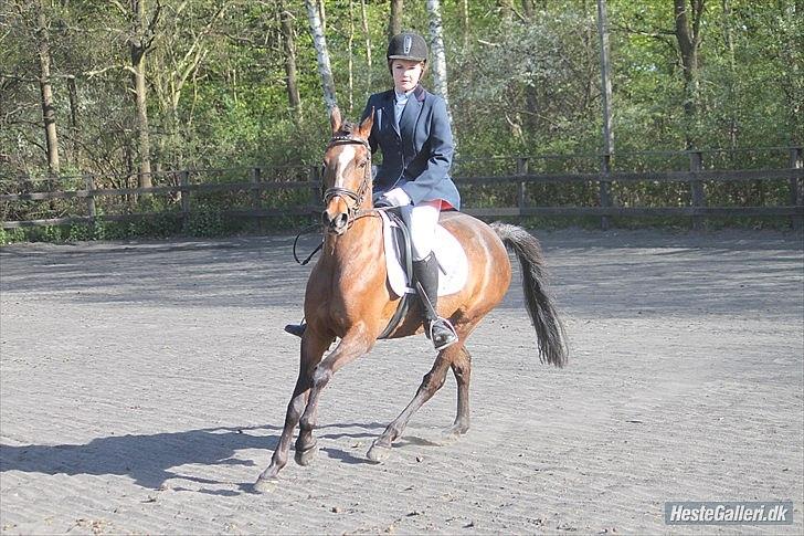 Anden særlig race Emma Embrace <3 billede 11