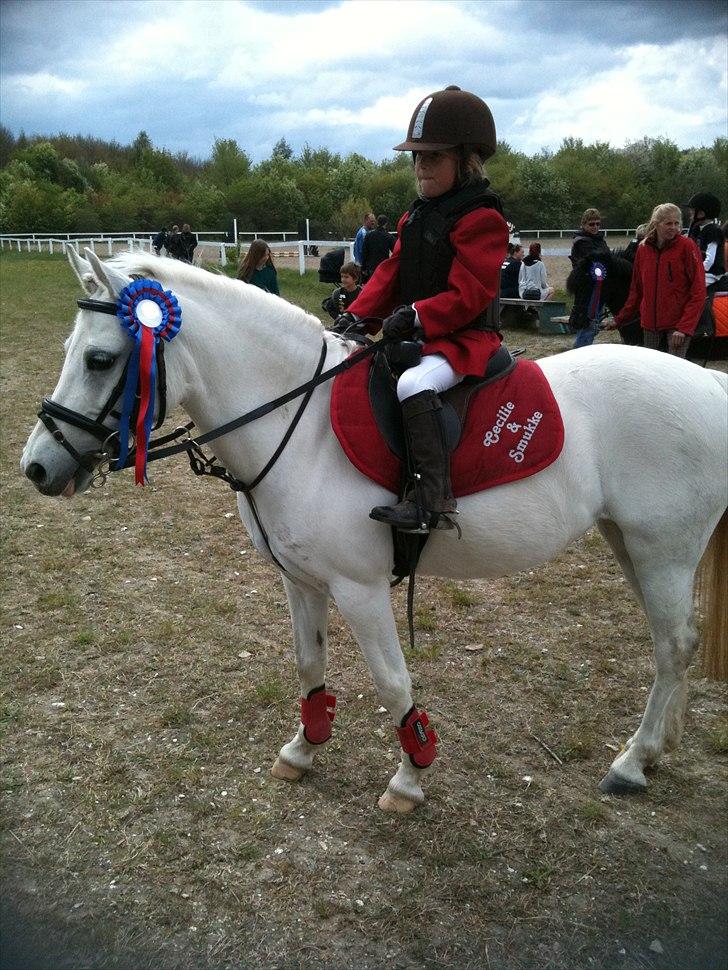 Anden særlig race Freja(SMUKKE) - Stævne 30 cm Hedehusgården billede 9