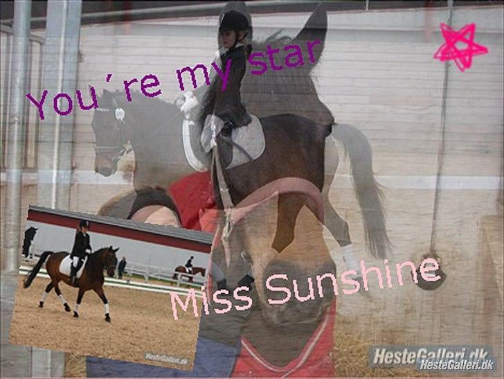 Tysk Sportspony Miss sunshine B pony i dressur - Sunhine you´re my star <3<3<3 billede 18
