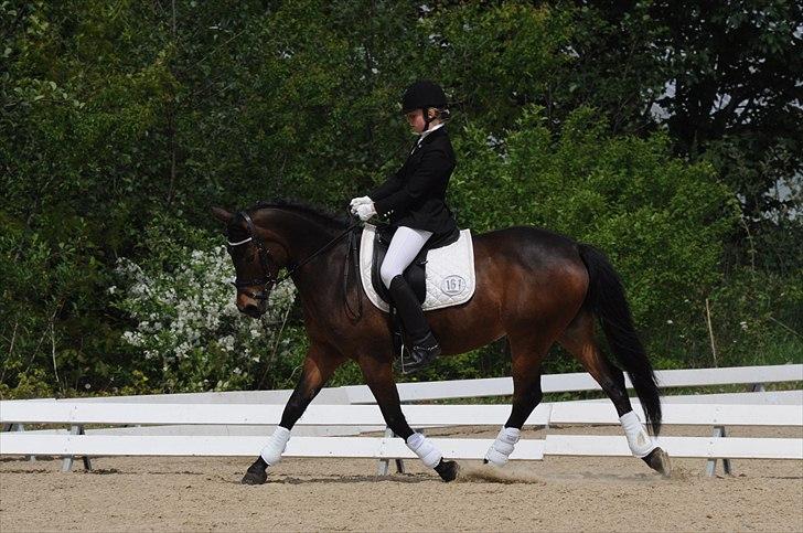 Anden særlig race FLICKA billede 7