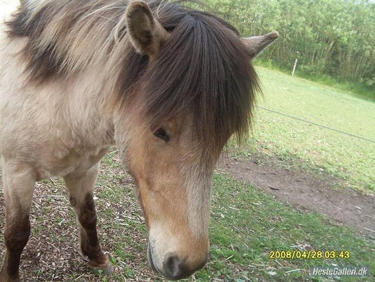 {{currentPhoto.altText}} billede {{currentPhoto.number}}