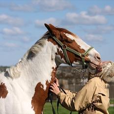 Pinto Nikolaj af Dutterup
