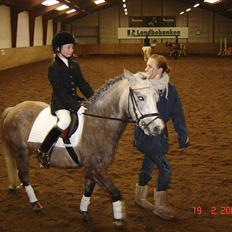 Anden særlig race Klaus 