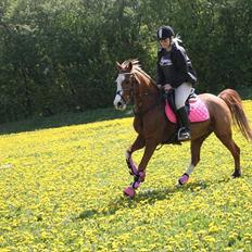 Anden særlig race Nikki <3 