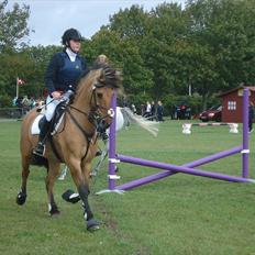 Anden særlig race Åbygårds Tornado*solgt*