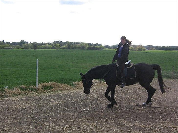 Traver Flax Vesterled billede 2