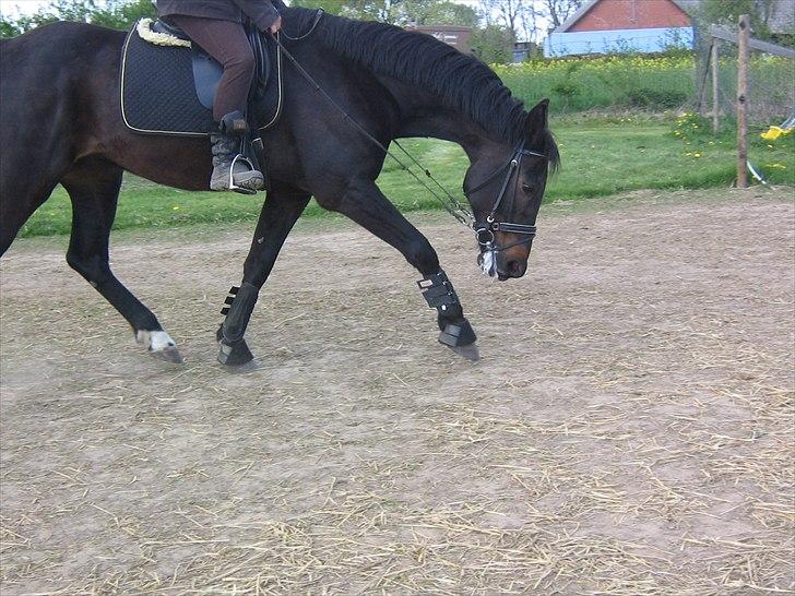 Traver Flax Vesterled billede 3