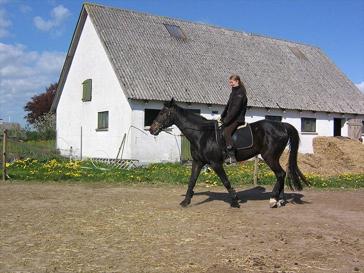 Traver Flax Vesterled billede 4